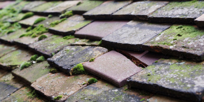 Clifton roof repair costs